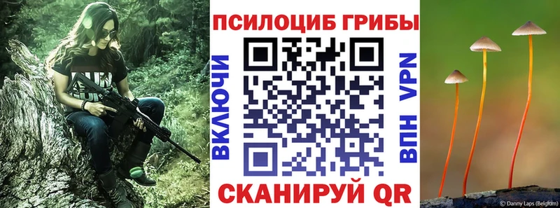 Купить  Абдулино  Галлюциногенные грибы Cubensis 